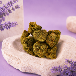 Mini Buds Green Velvet