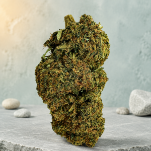 Mango Haze-C2M