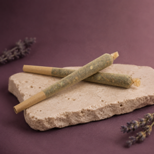 Pre-Roll Amnesia C2M